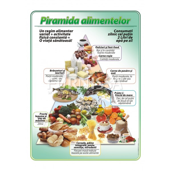 Piramida alimentelor