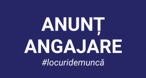 Read more about the article Inca un loc de munca
